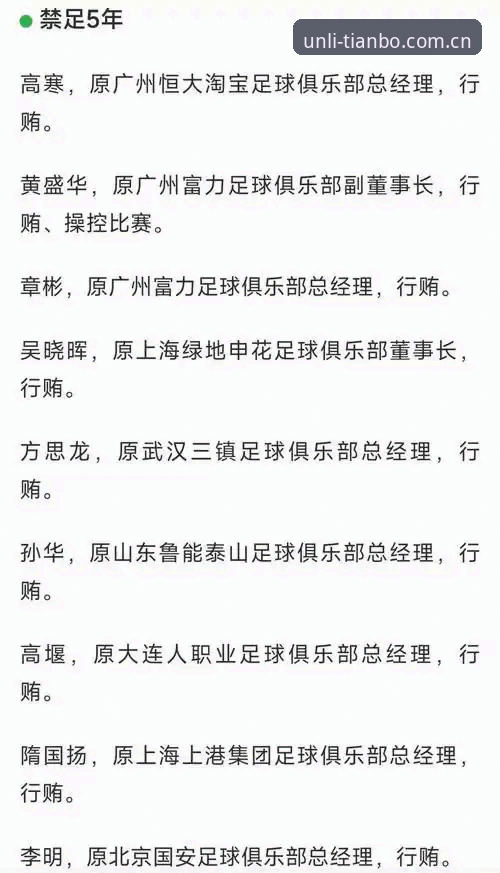 中国足协第三批禁足名单深度解析：天博体育官网用户操作指南